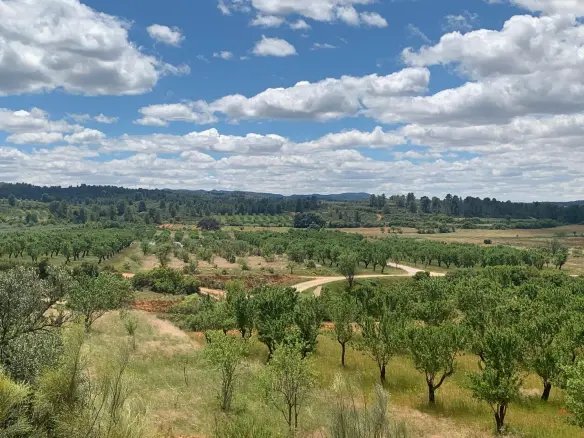 Land Of 0 M² In Ayora, Spain