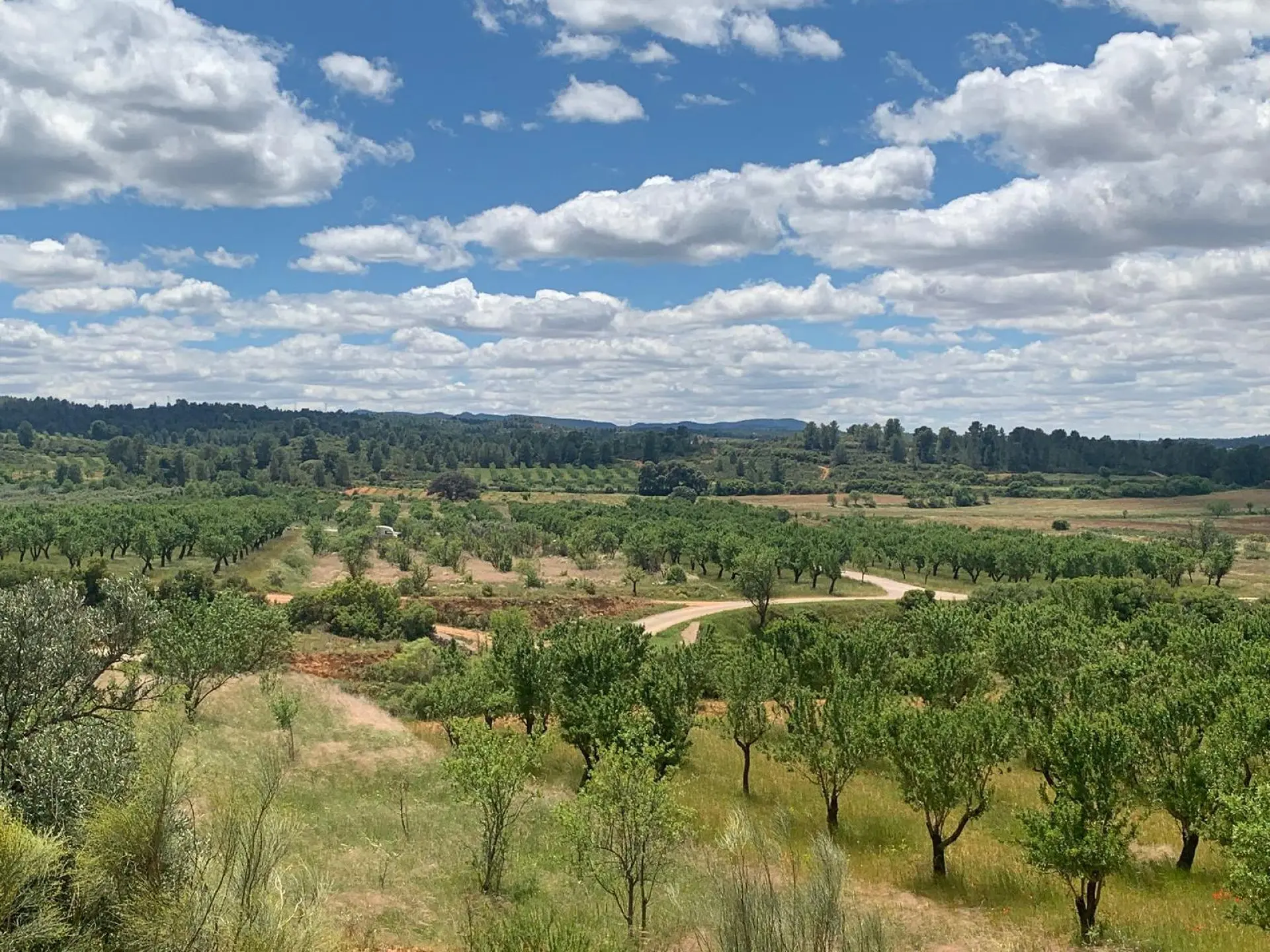 Land Of 0 M² In Ayora, Spain