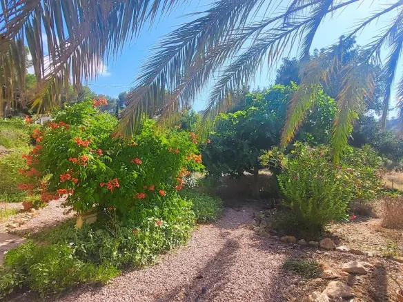 4-bedroom Detached Villa In Hondón De Las Nieves, Spain (157 M²)