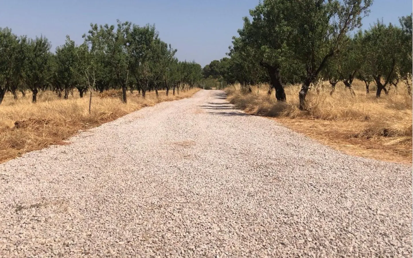 Land Of 0 M² In Ayora, Spain