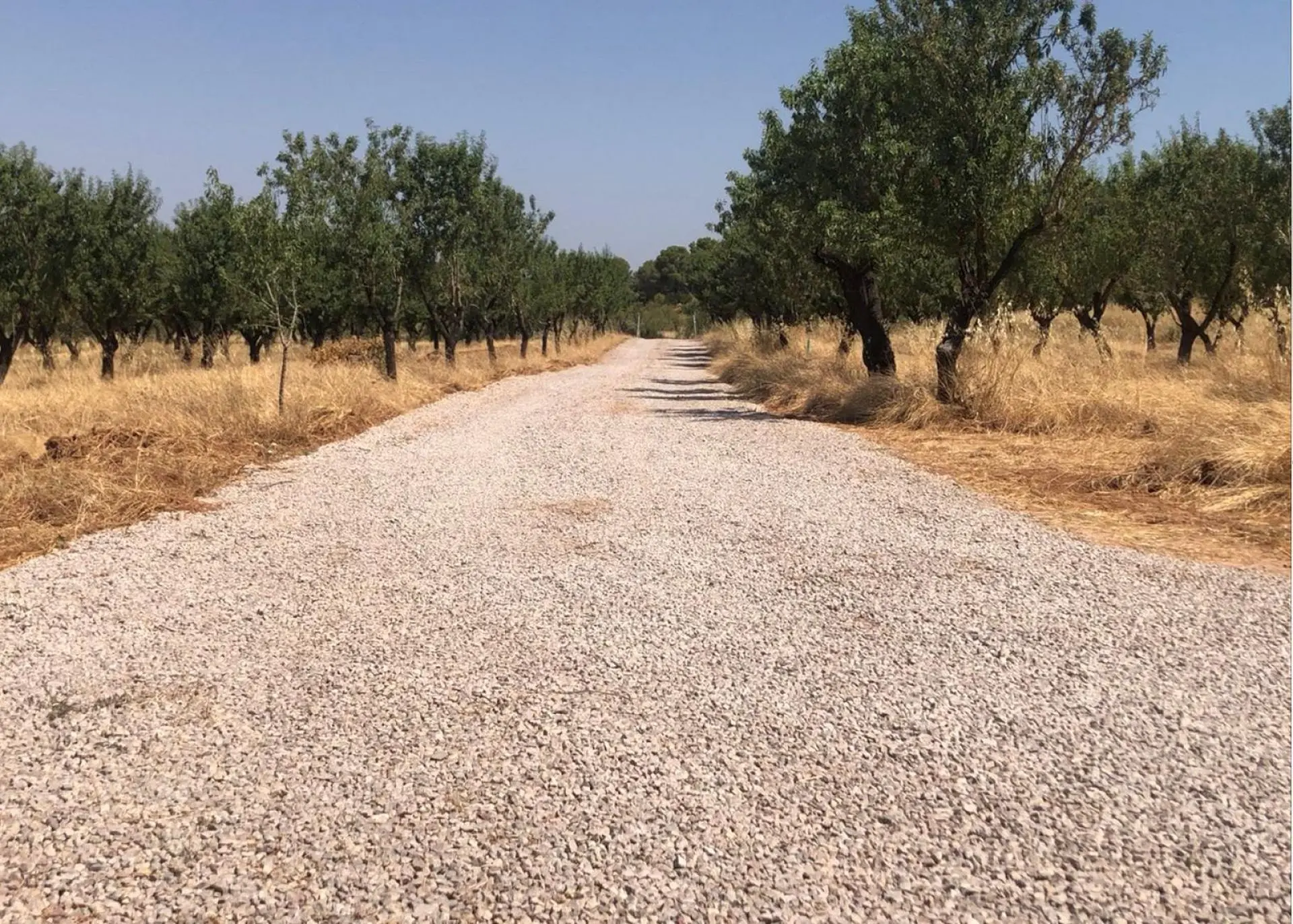 Land Of 0 M² In Ayora, Spain