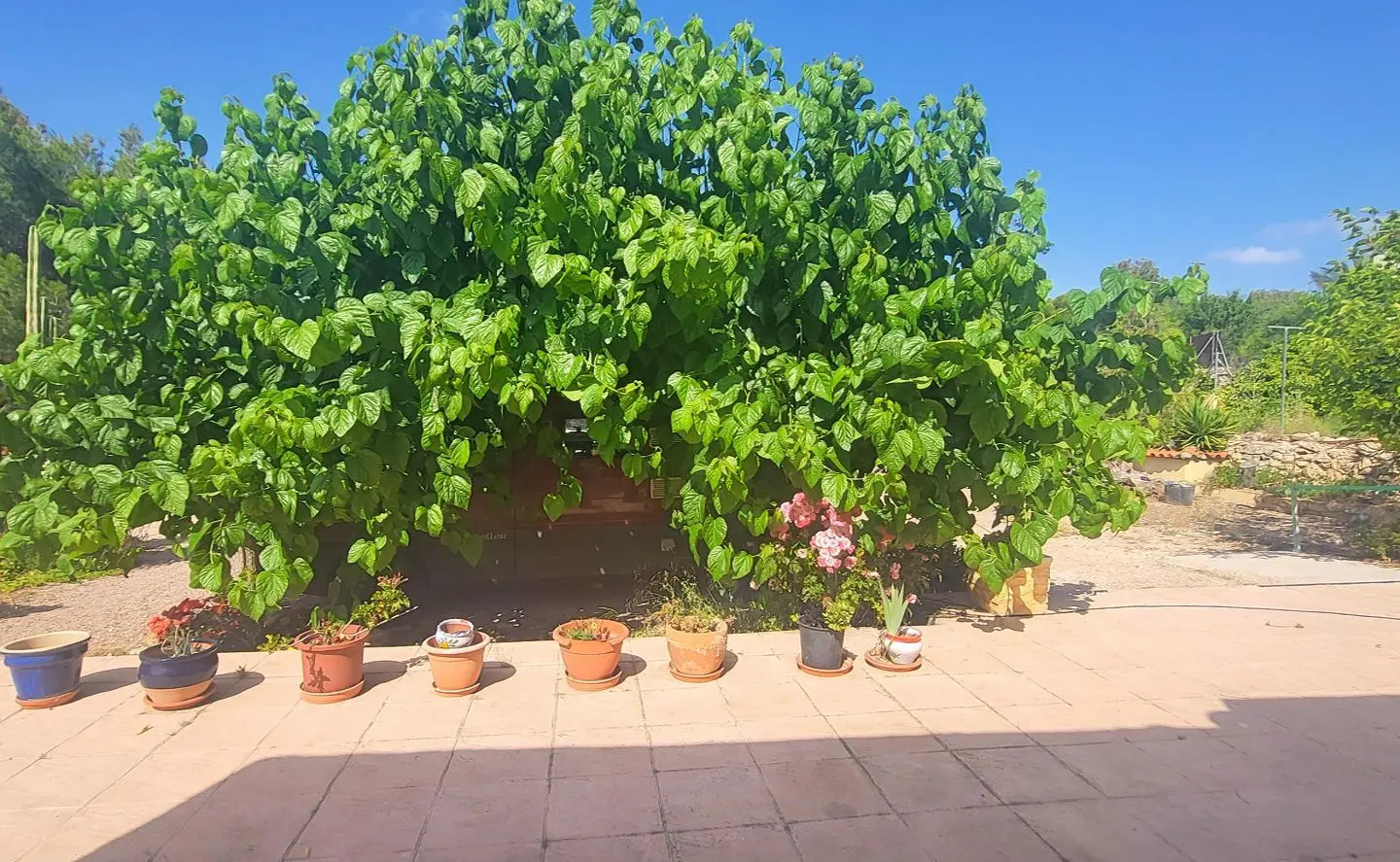 4-bedroom Detached Villa In Hondón De Las Nieves, Spain (157 M²)