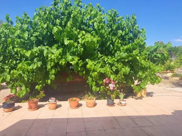 4-bedroom Detached Villa In Hondón De Las Nieves, Spain (157 M²)