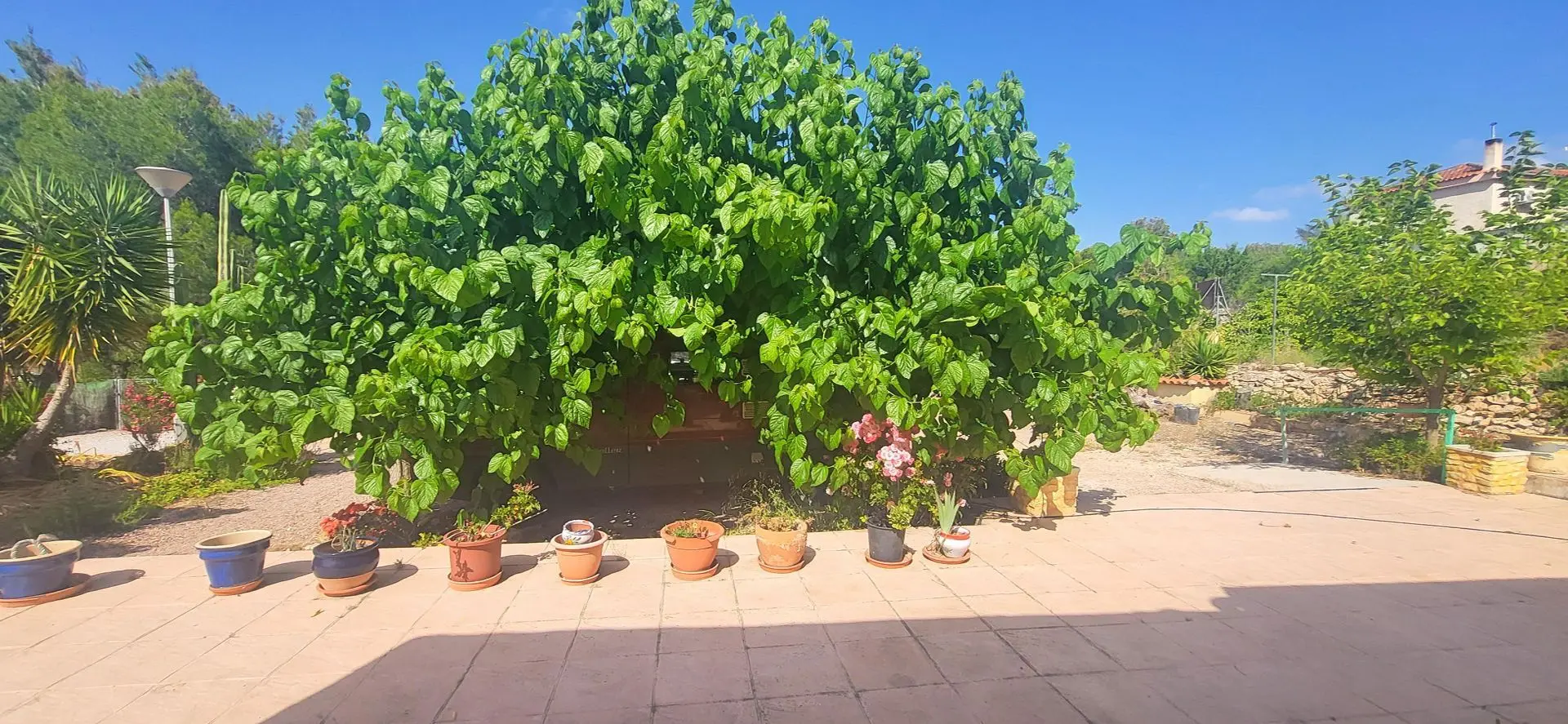 Detached Villa Of 157 M² With Garden In Hondón De Las Nieves