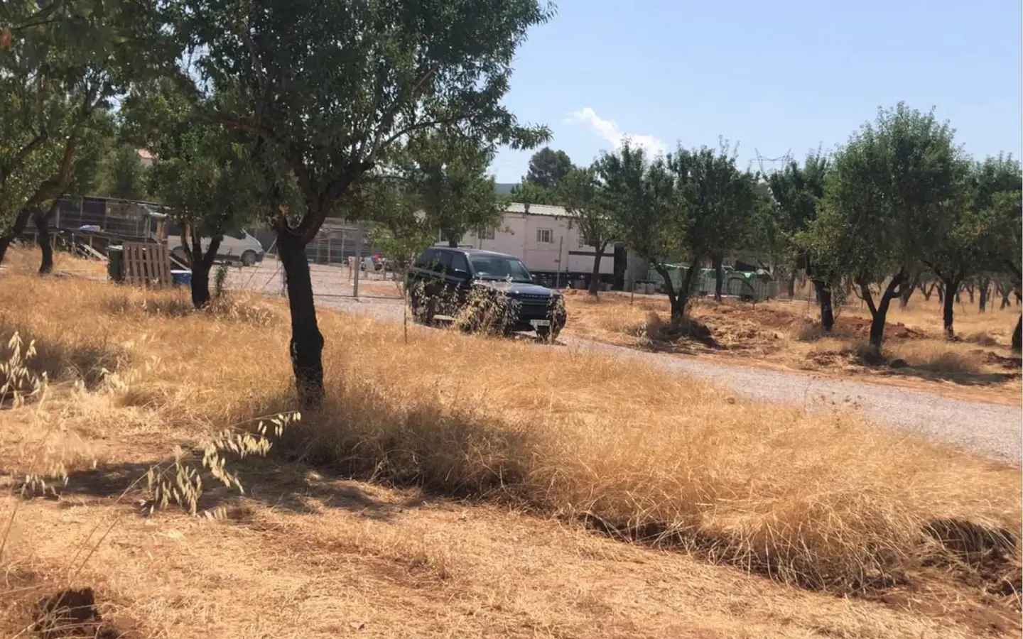Land Of 0 M² In Ayora, Spain