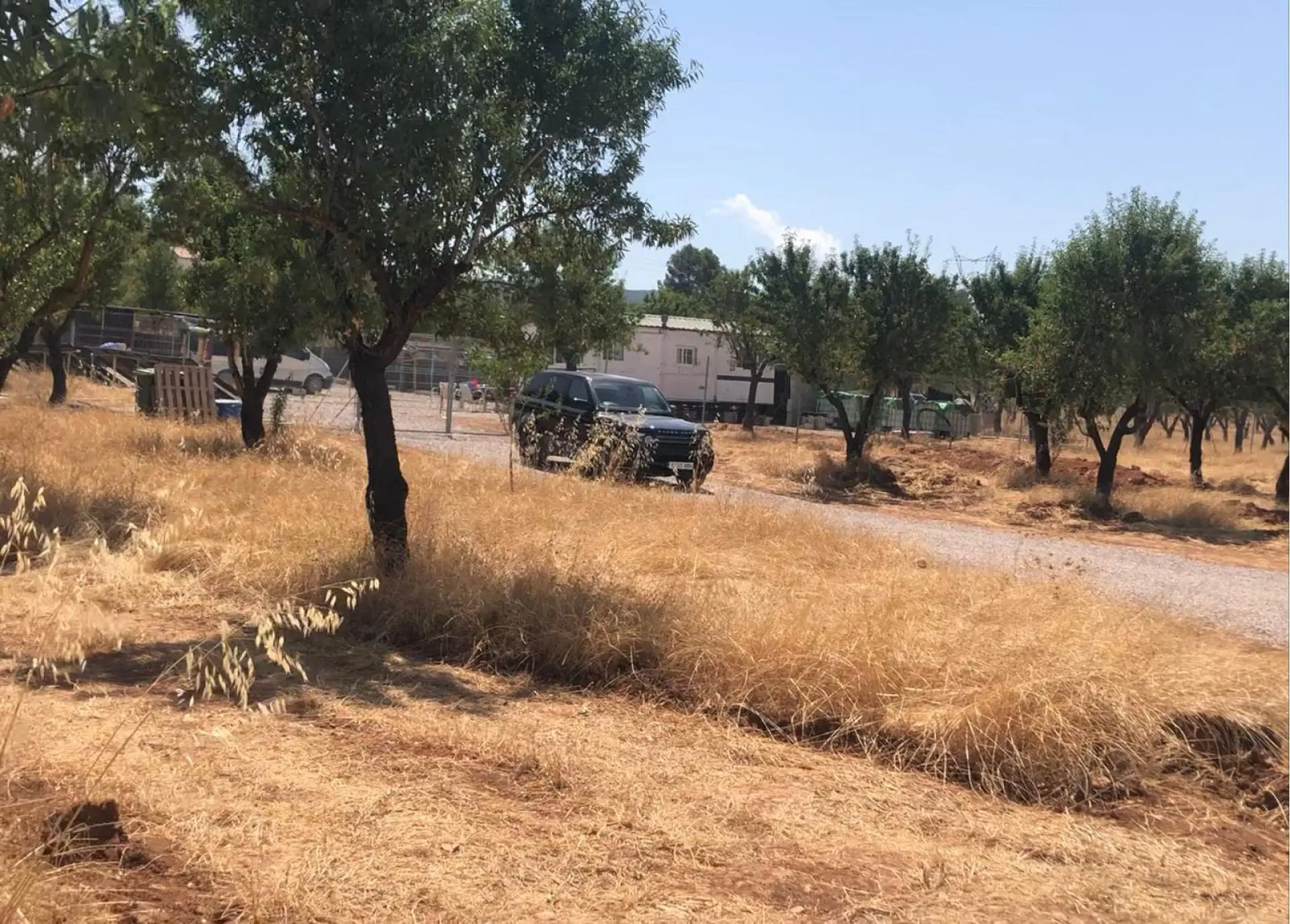 Land Of 0 M² In Ayora, Spain