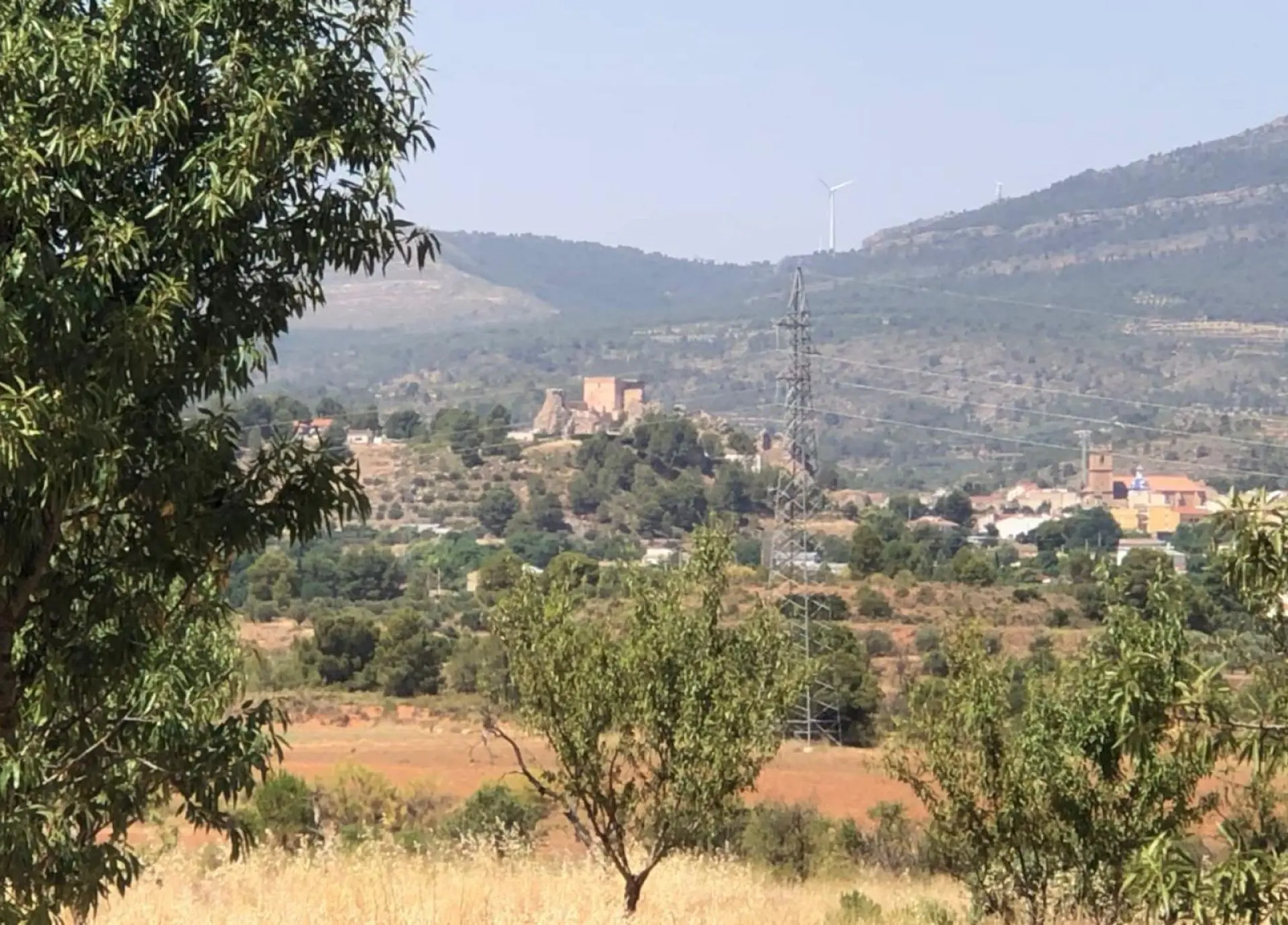 Land Of 0 M² In Ayora, Spain