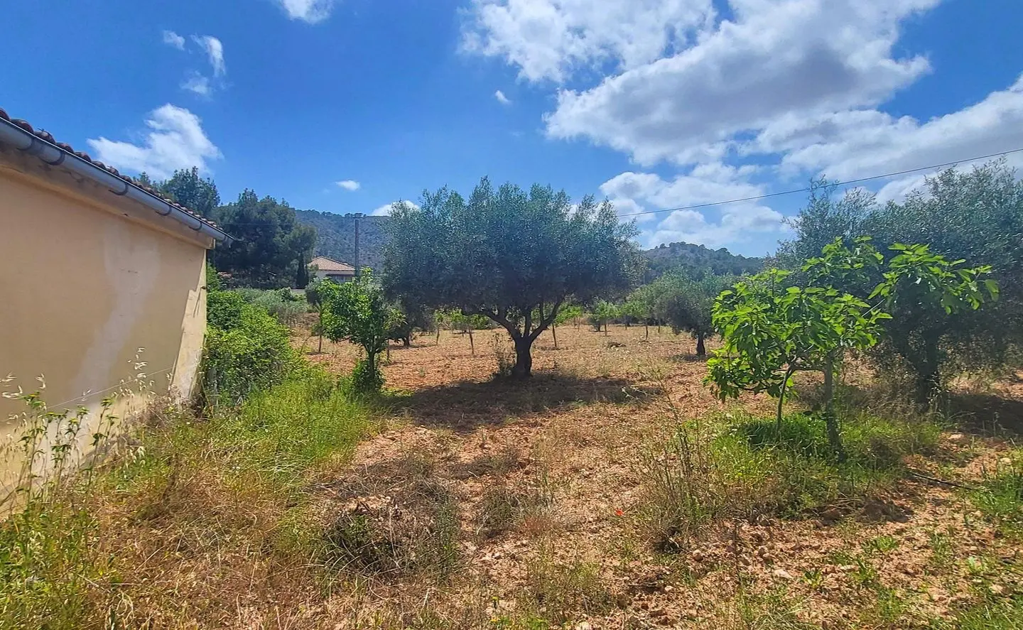 4-bedroom Detached Villa In Hondón De Las Nieves, Spain (157 M²)