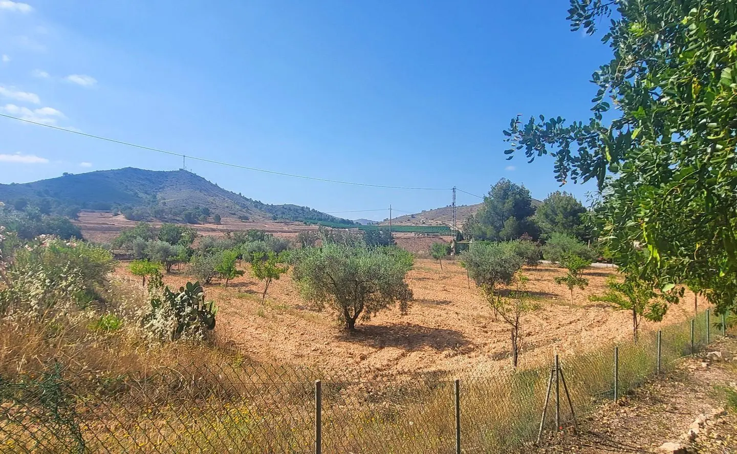 4-bedroom Detached Villa In Hondón De Las Nieves, Spain (157 M²)