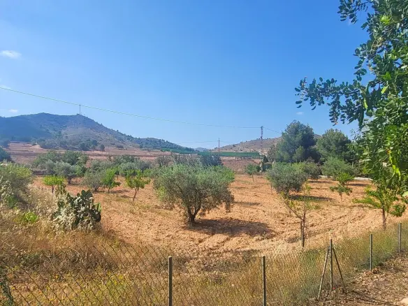4-bedroom Detached Villa In Hondón De Las Nieves, Spain (157 M²)