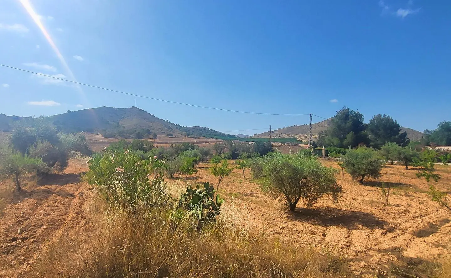4-bedroom Detached Villa In Hondón De Las Nieves, Spain (157 M²)