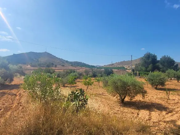 4-bedroom Detached Villa In Hondón De Las Nieves, Spain (157 M²)