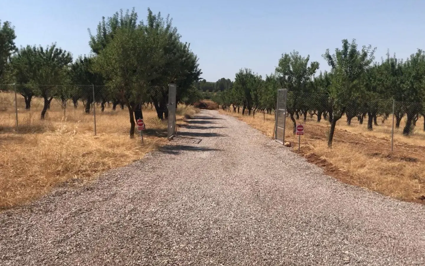 Land Of 0 M² In Ayora, Spain