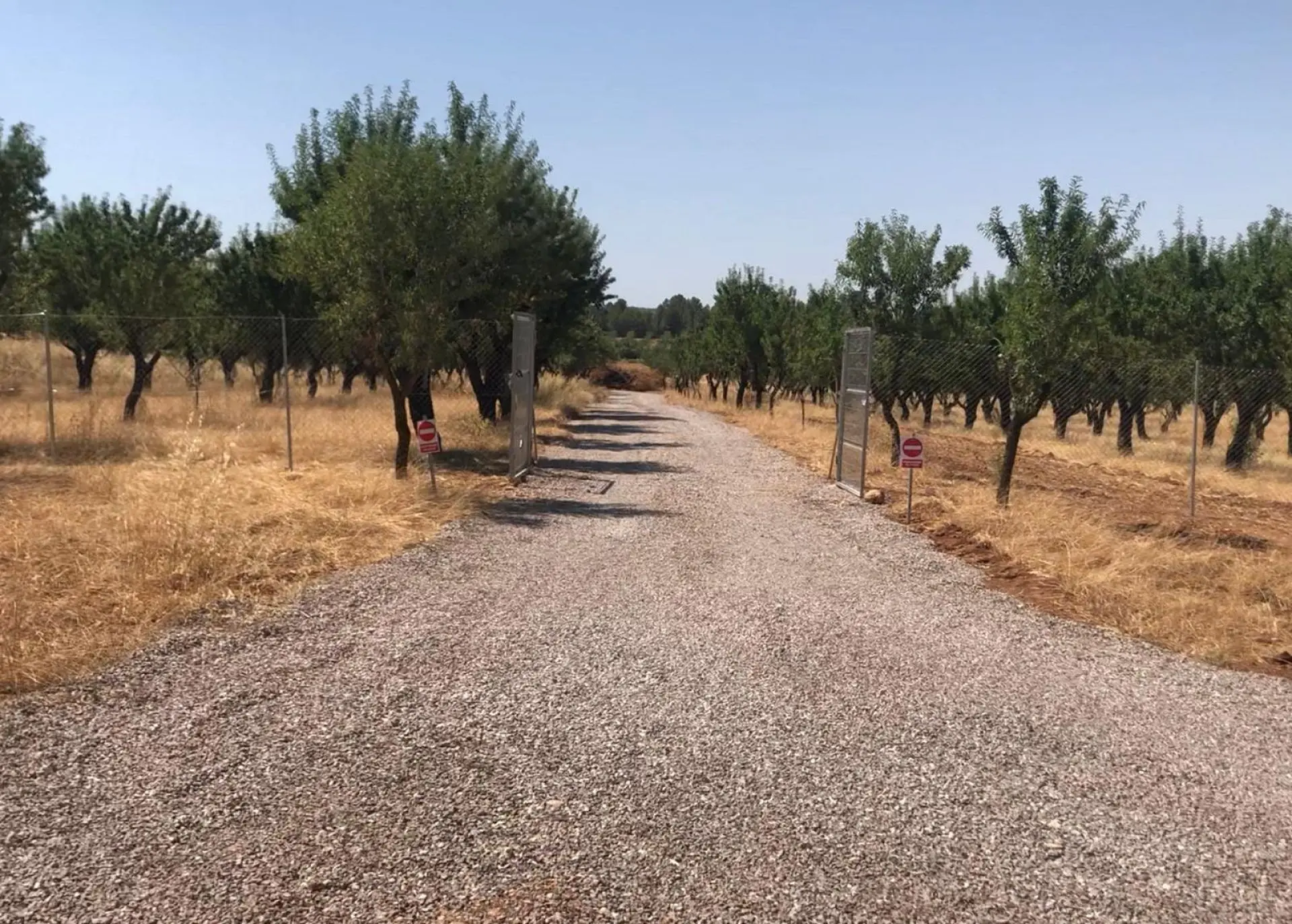 Land Of 0 M² In Ayora, Spain