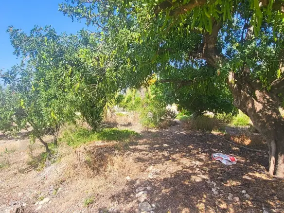 4-bedroom Detached Villa In Hondón De Las Nieves, Spain (157 M²)