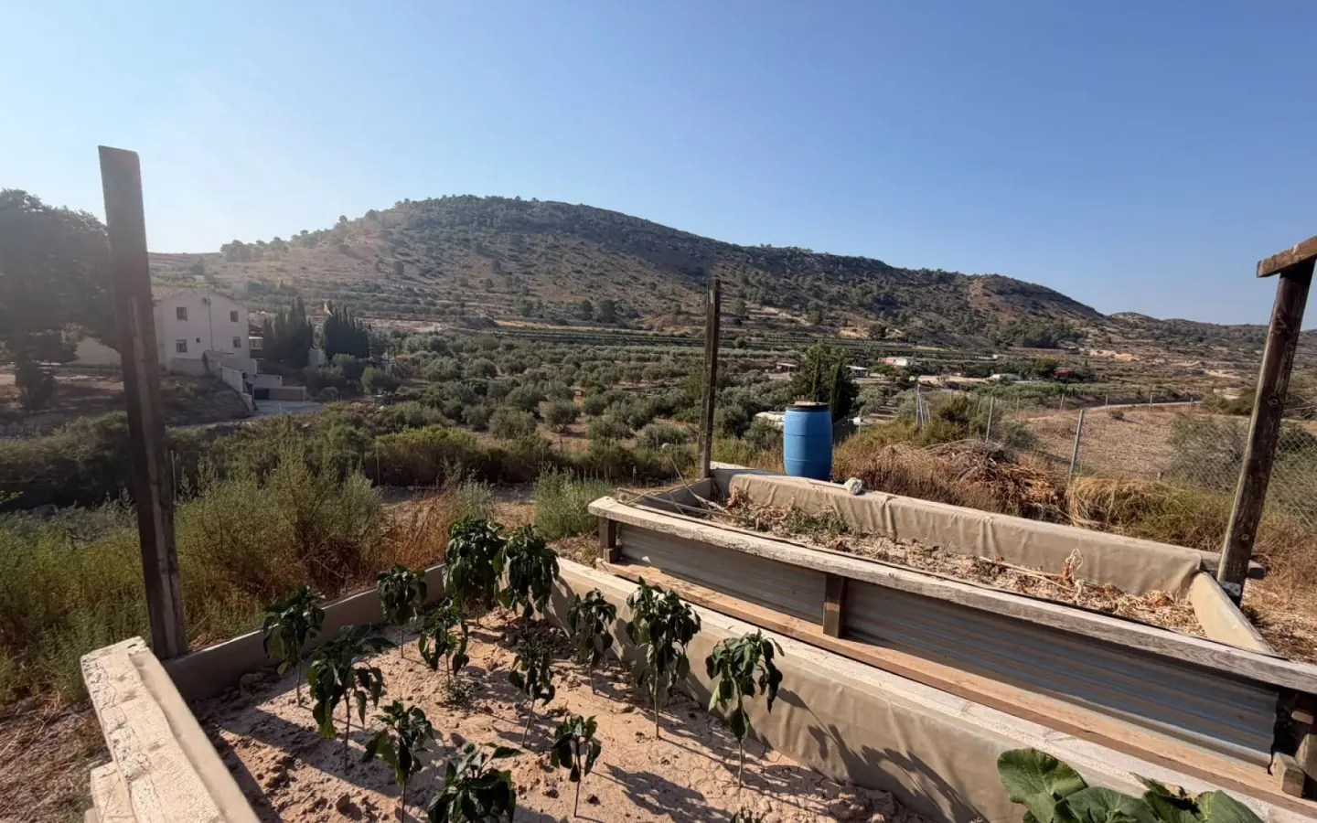 6-bedroom Country House In Aspe, Spain (337 M²)