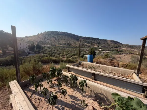 6-bedroom Country House In Aspe, Spain (337 M²)
