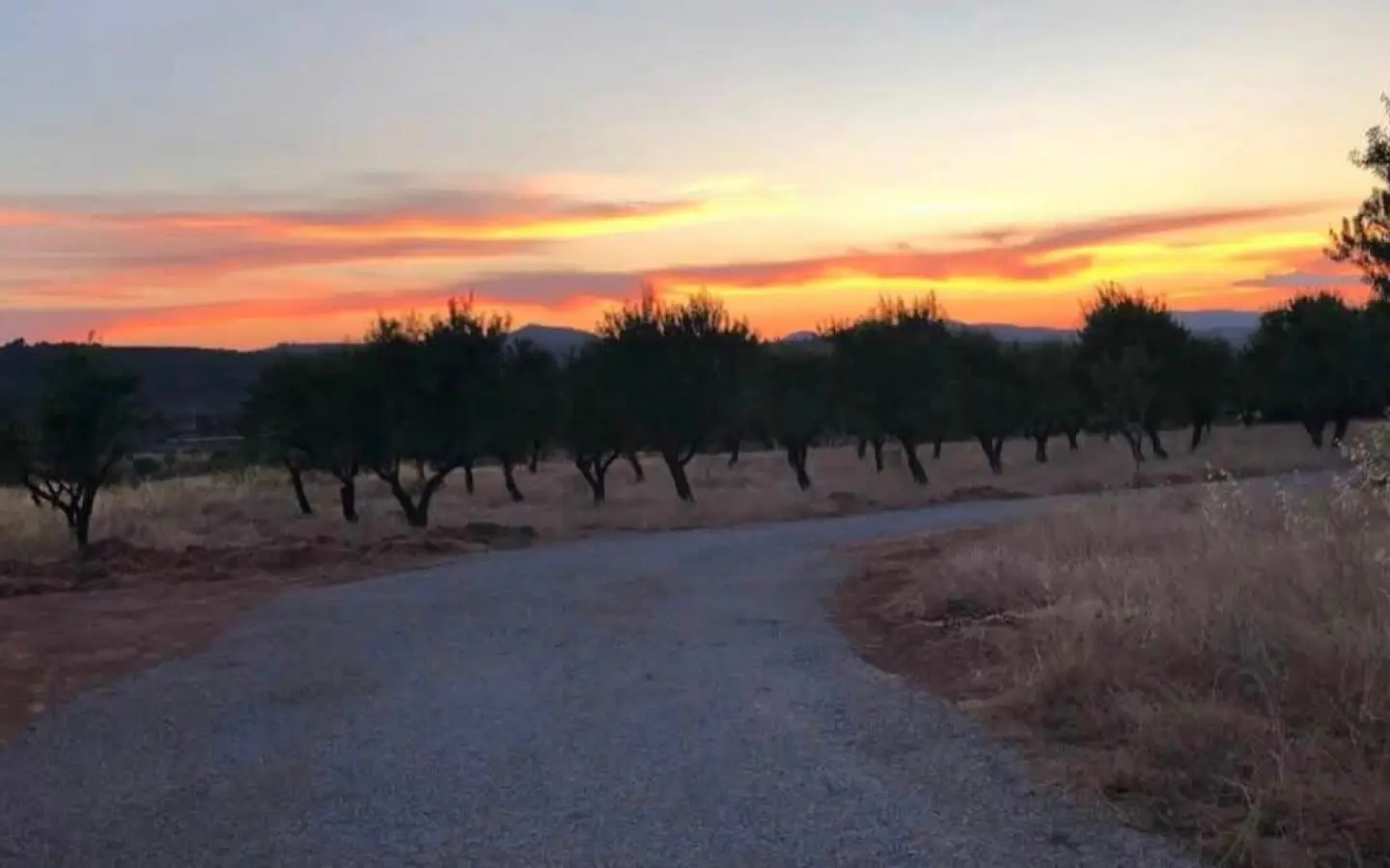 Land Of 0 M² In Ayora, Spain