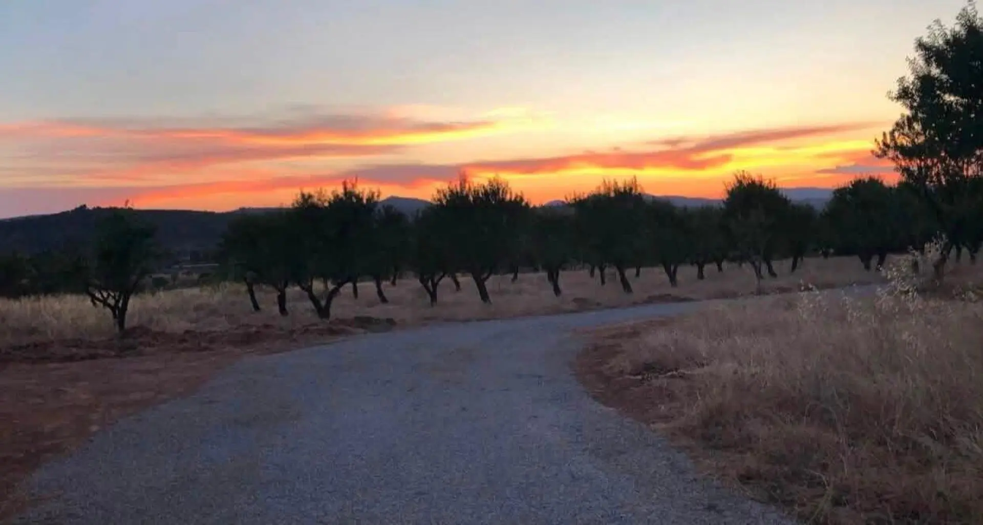 Land Of 0 M² In Ayora, Spain