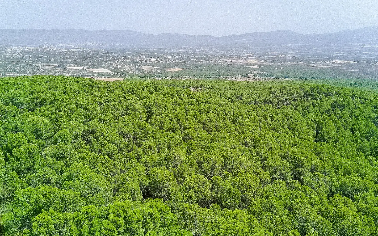2-bedroom Country House In Castalla, Spain (100 M²)