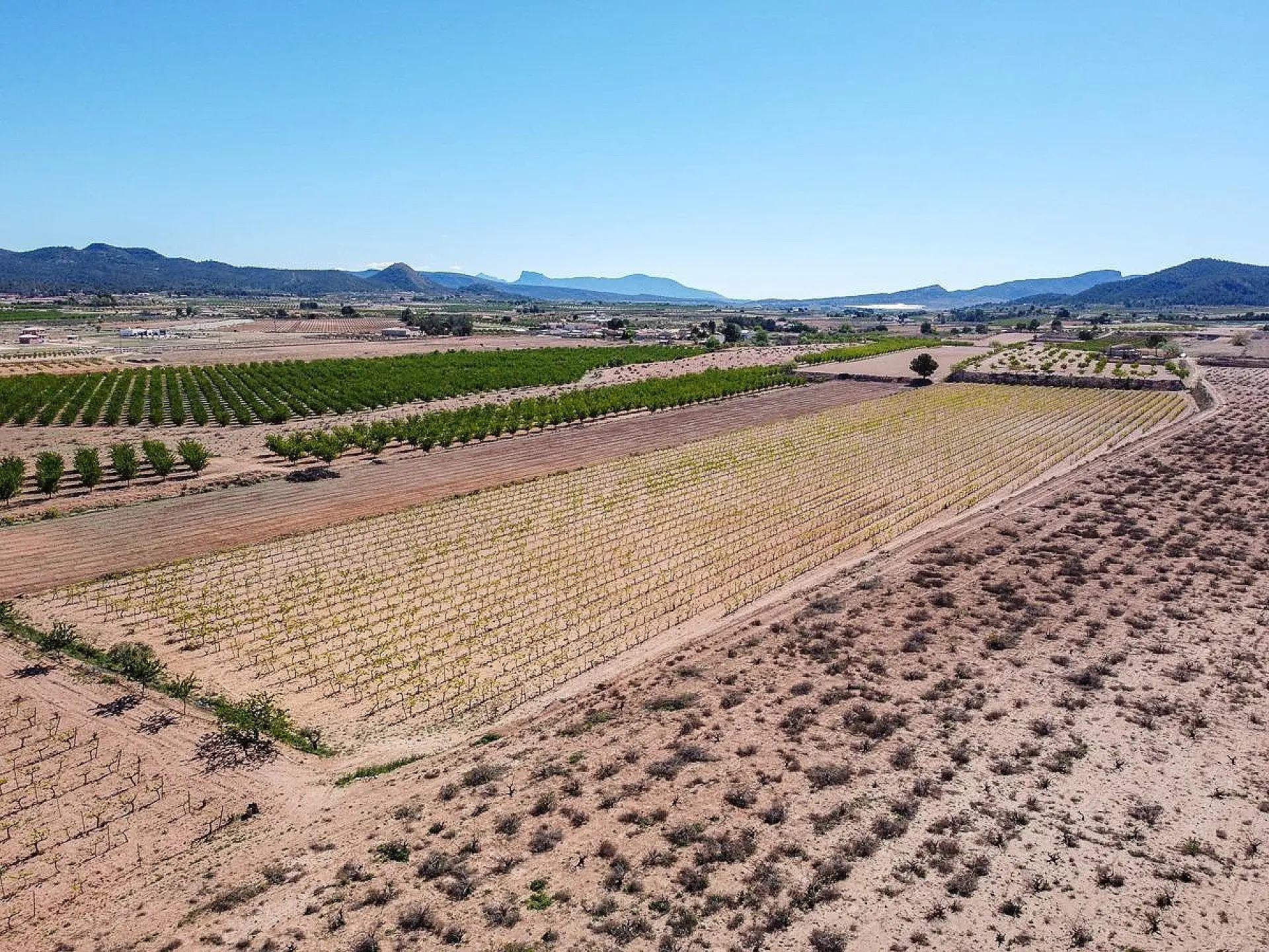 Land Of 0 M² In Pinoso, Spain