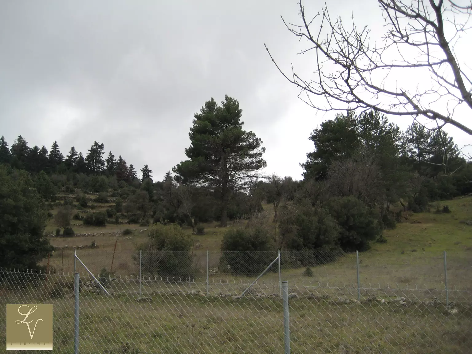 1Plot view from the street Vytina Village , Peloponnese