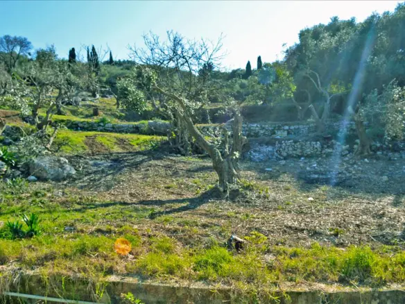 Land Of 4160 M² In Corfu