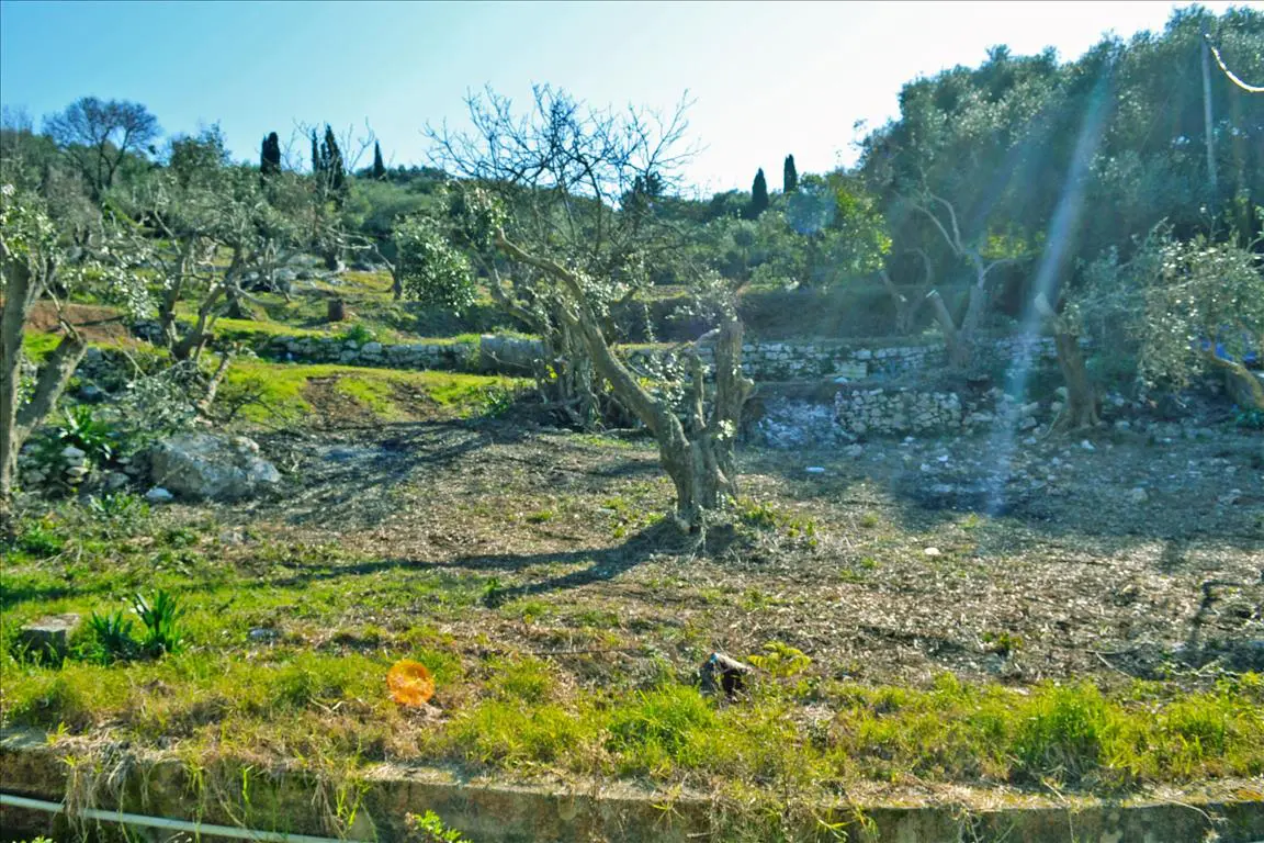 Land Of 4160 M² In Corfu