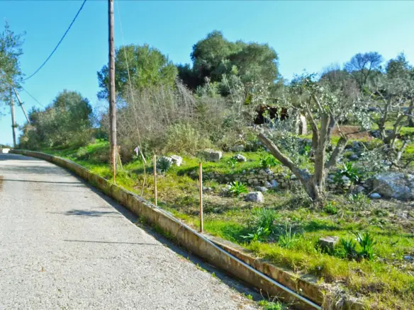 Land Of 4160 M² In Corfu