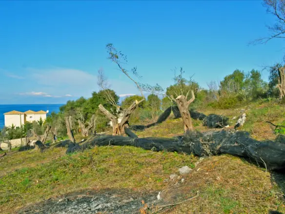 Land Of 4160 M² In Corfu