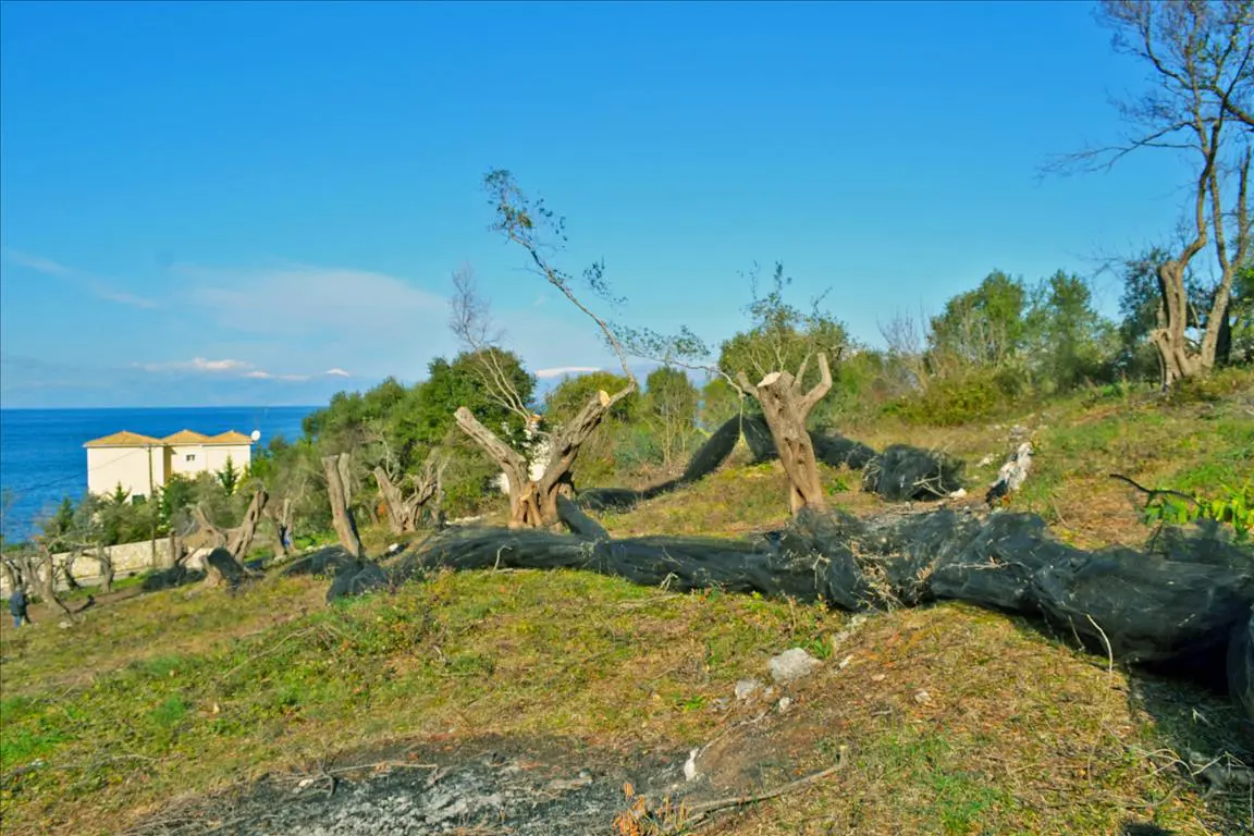 Land Of 4160 M² In Corfu