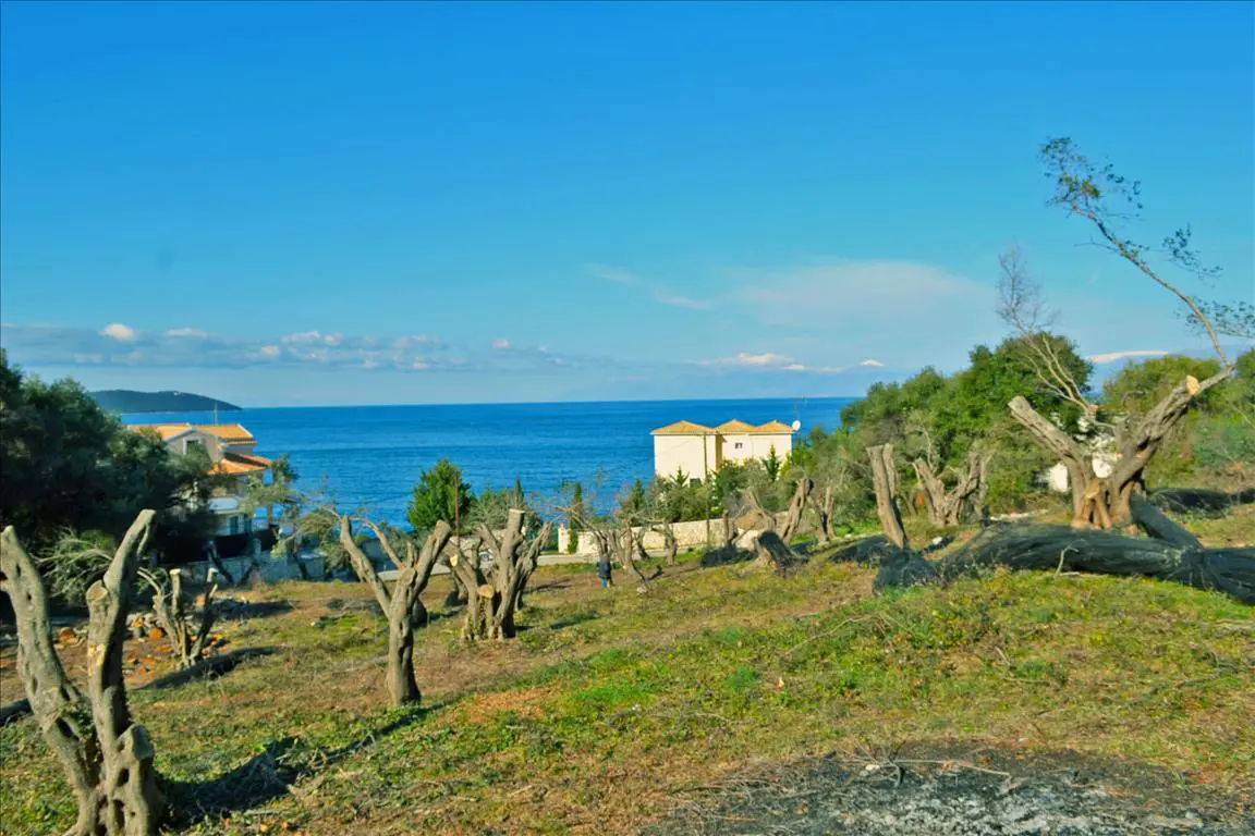 Land Of 4160 M² In Corfu
