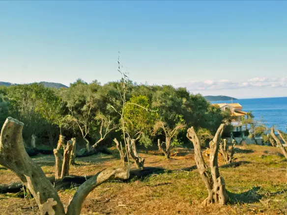 Land Of 4160 M² In Corfu