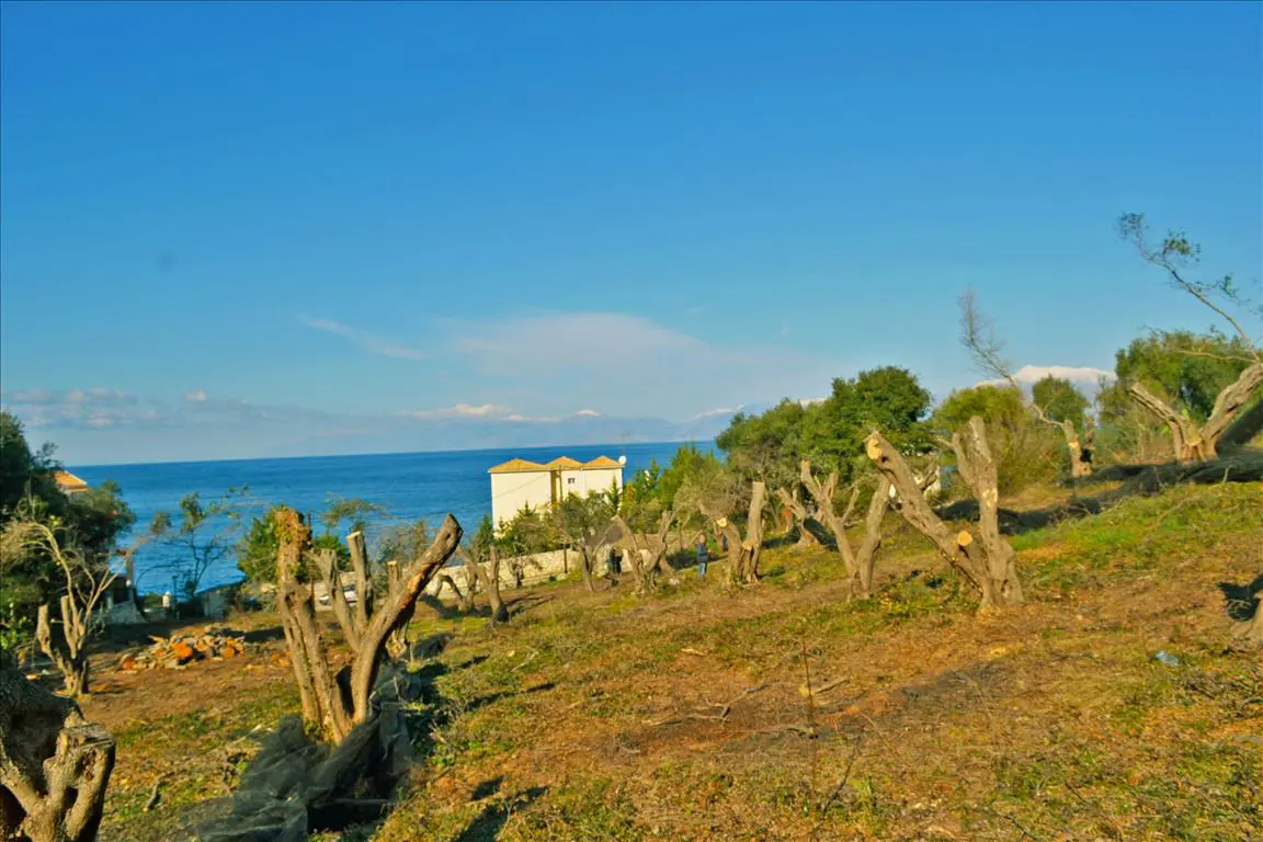 Land Of 4160 M² In Corfu