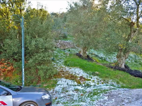 Land Of 7000 M² In Corfu