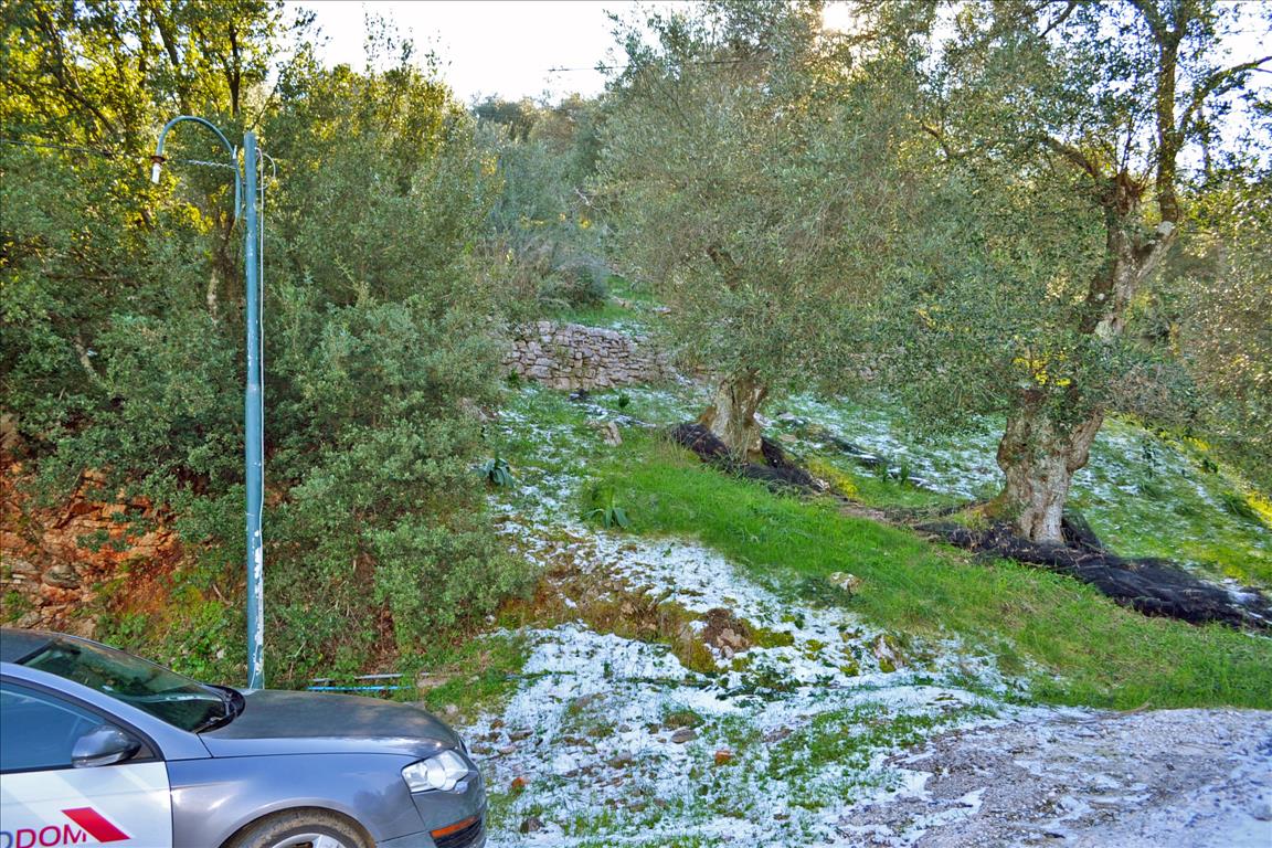 Land Of 7000 M² In Corfu