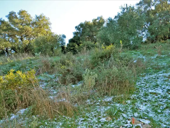Land Of 7000 M² In Corfu