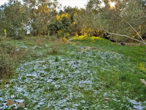 Land Of 7000 M² In Corfu