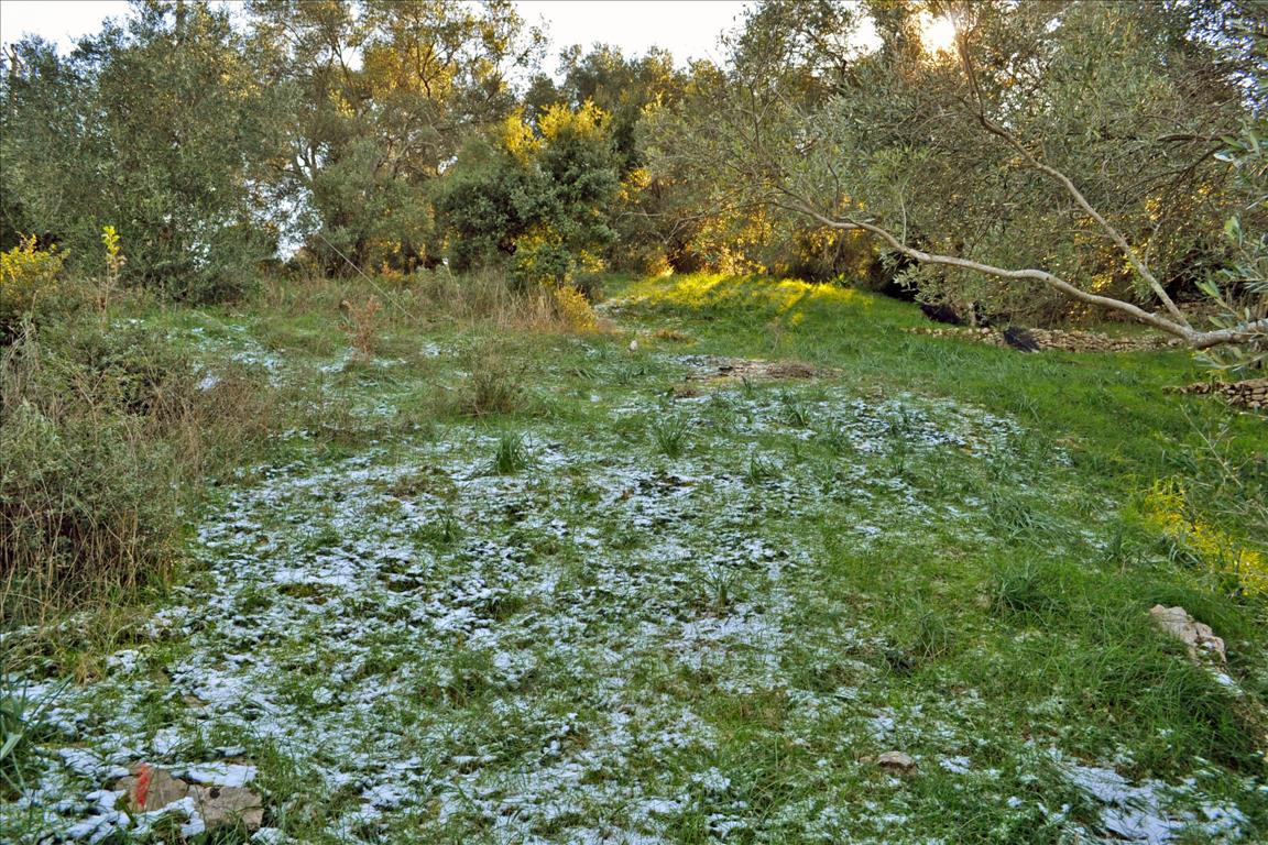 Land Of 7000 M² In Corfu