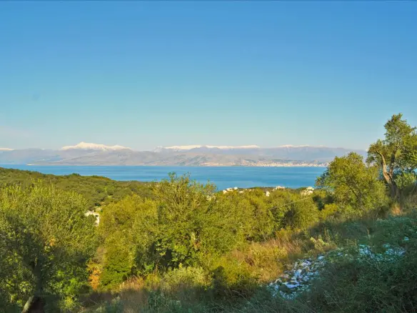 Land Of 7000 M² In Corfu