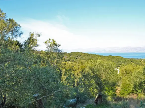 Land Of 7000 M² In Corfu