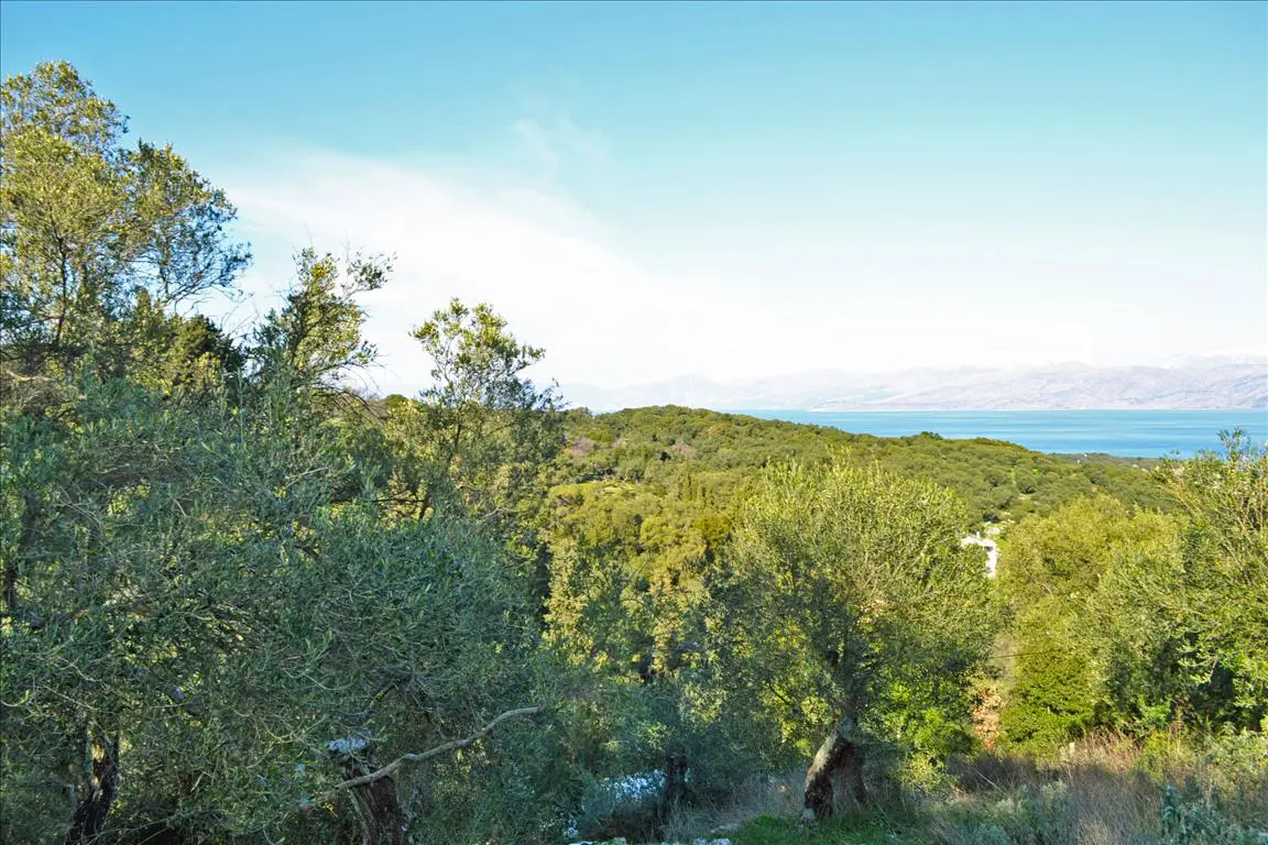 Land Of 7000 M² In Corfu