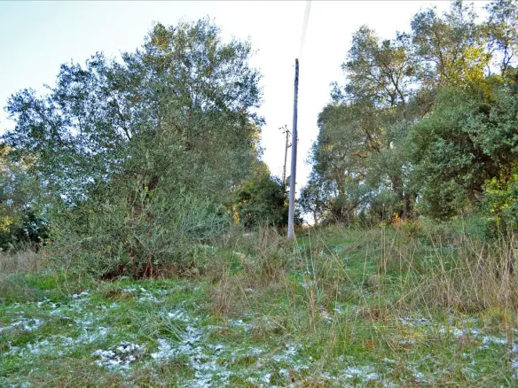Land Of 7000 M² In Corfu