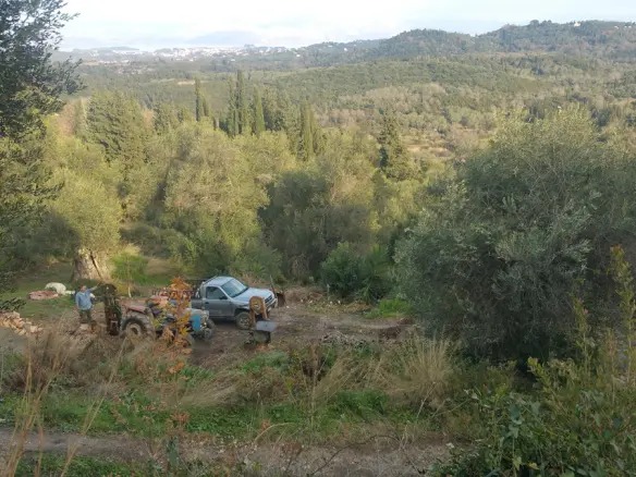 Land In Corfu, Greece (12.437 M²)