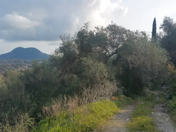 Land In Corfu, Greece (12.437 M²)