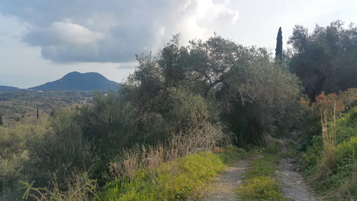 Land Of 12437 M² In Corfu