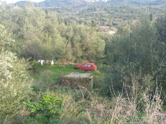 Land In Corfu, Greece (12.437 M²)