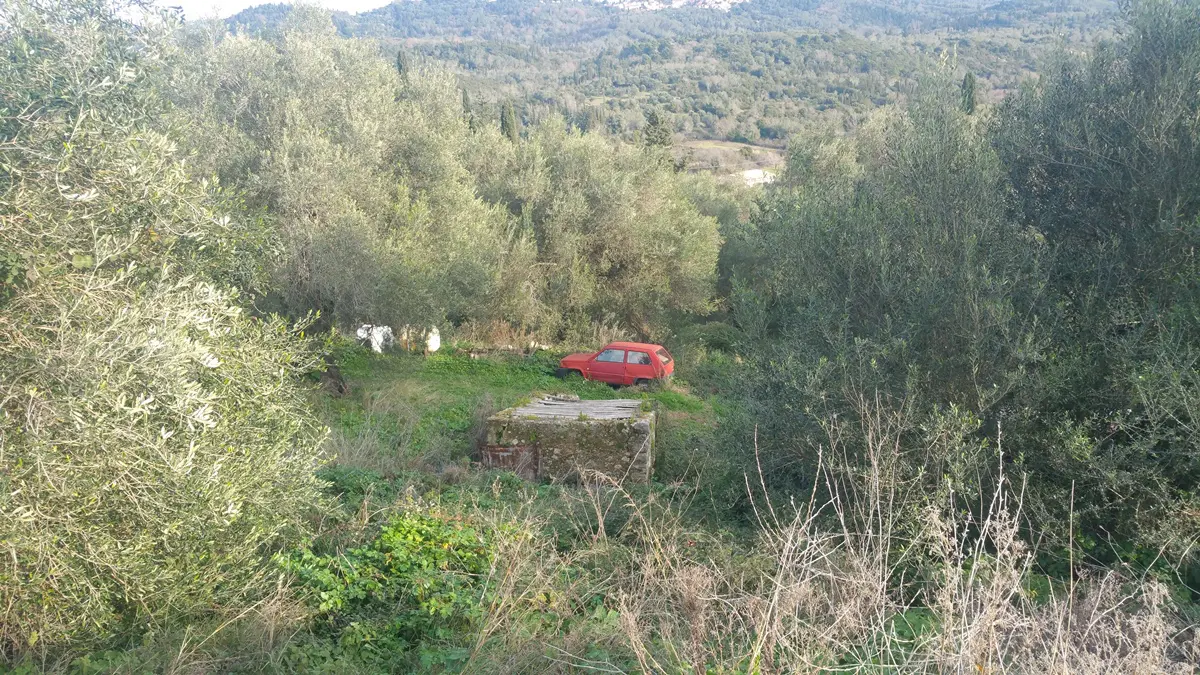 Land Of 12437 M² In Corfu