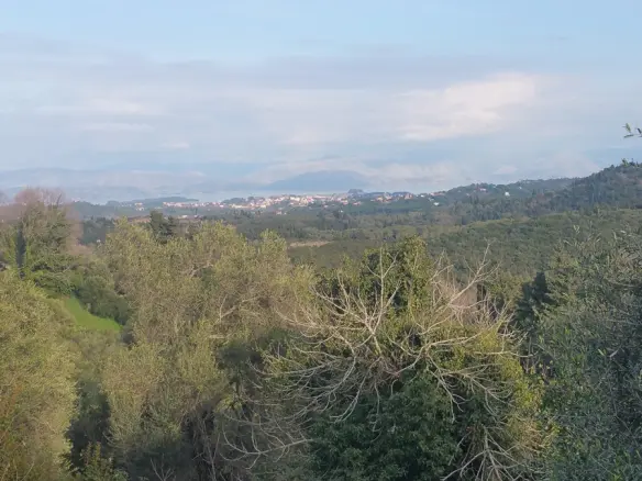 Land In Corfu, Greece (12.437 M²)