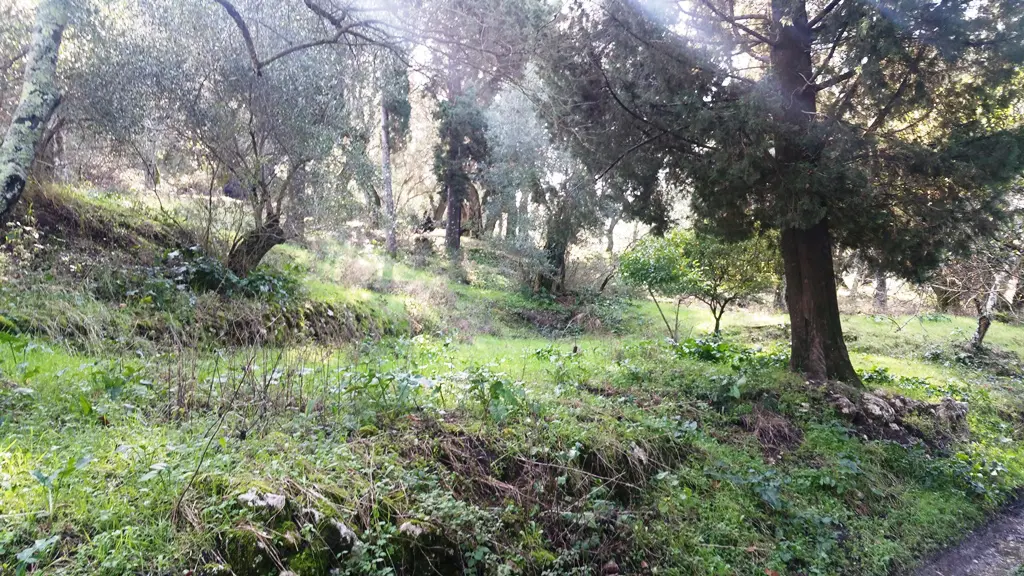 Land Of 3315 M² In Corfu